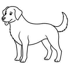      Dog vector illustration.
