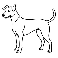      Dog vector illustration.
