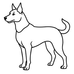      Dog vector illustration.

