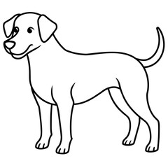      Dog vector illustration.
