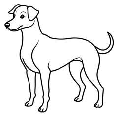      Dog vector illustration.

