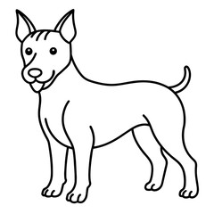      Dog vector illustration.

