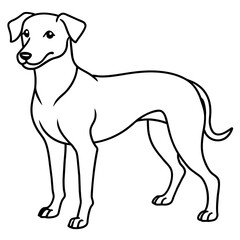      Dog vector illustration.
