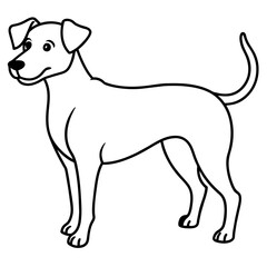      Dog vector illustration.
