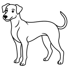      Dog vector illustration.
