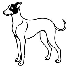      Dog vector illustration.
