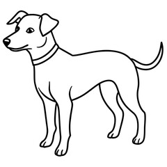      Dog vector illustration.
