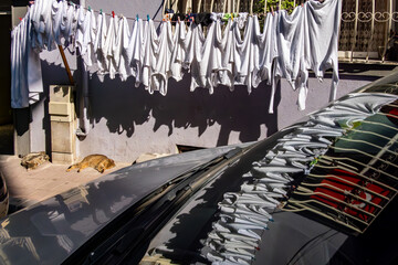 Istanbul, Turkey A cat sleeps in the sun as fresh laundry hangs and dries on a clothesline outdoors  in the Balat district.