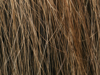 dry hair background. hair texture. abstract background.