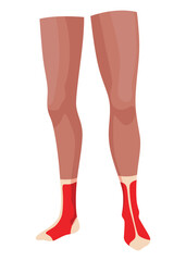 Woman fashion stocking, cartoon icon. Legs in fashionable socks. Elegant female legs. Clothing pieces, garment with bright colored print , footwear