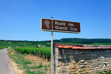 Puligny-Montrachet, Cote de Beaune, Cote d'Or, Burgundy, Bourgogne-Franche-Comté, France, Europe -...