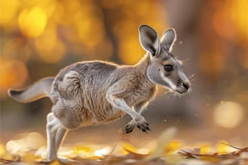 Fotobehang Energetic image of a kangaroo in motion with a blurred background © Veniamin Kraskov