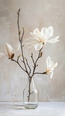 magnolia in vase on wall background
