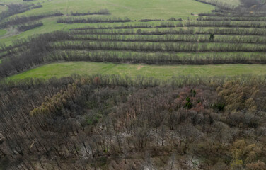landscape ecology, where meadows are divided into strips of forest dividing into smaller areas....
