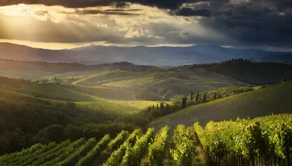 Fotobehang view of vineyards in the tuscan valley © bulentumut