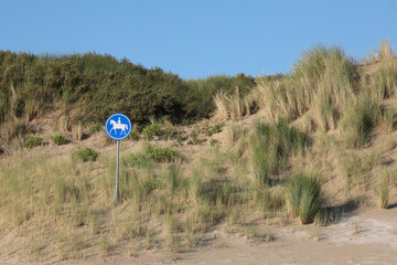 A sign indicating a horse riding trail in the dunes
