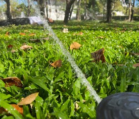 Sleeping man in the garden