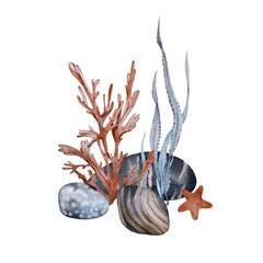 Composition with seaweed pebbles and starfish. Watercolor illustration hand drawn isolated on a white background. Template for cards, invitations and pac