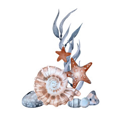 Obraz premium Composition with seaweed pebbles shells and starfish. Watercolor illustration hand drawn isolated on a white background. Template for cards, invitations and packaging design. 