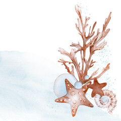 Composition with seaweed corals shells and starfish. Watercolor illustration hand drawn on a white background. Template for cards, invitations and packaging design.  © Anastasiia