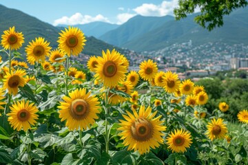 Bright sunflowers stand tall against a backdrop of lush mountains, radiating the warmth of summer.