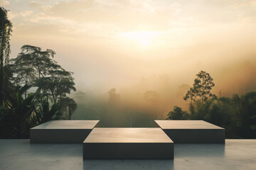 Misty forest sunrise with concrete overlook platforms