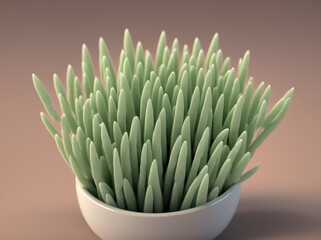 Green Grass in a White Vase