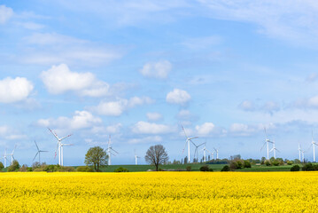 Electric windmills in field of rapeseed. Wind energy concept. - 783079786