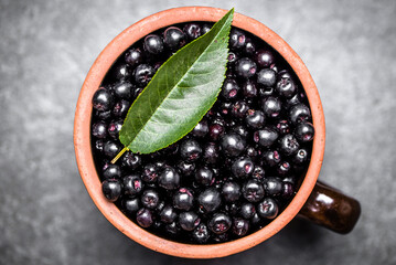 Chokeberry. Bowl of fresh aronia berries, top view.