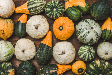 Fresh pumpkins background. Farmer market with decorative vegetables. Autumn harvest and Thanksgiving concept. - 783085348