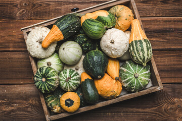 Fresh pumpkins in wooden box. Gourds an squashes. Decorative vegetables harvest. Autumn Thanksgiving decorations. - 783085510