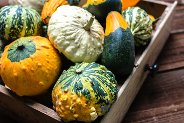 Fresh pumpkins in wooden box. Gourds an squashes. Decorative vegetables harvest. Autumn...