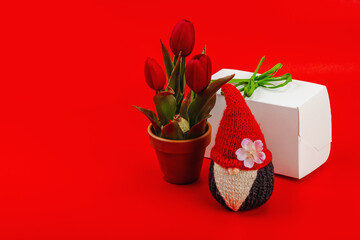 Minimalist spring greeting card with knitted gnome, tulips and gift box. Traditional festive symbol