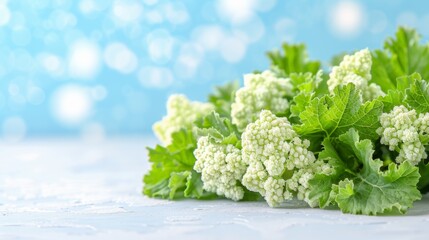 A bunch of broccoli and cauliflower are on a table, AI - obrazy, fototapety, plakaty