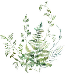 Bouquet with Watercolor fern twigs with green leaves isolated illustration, botanical wedding