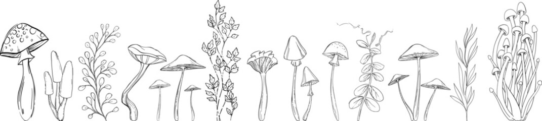 Mushrooms and plants hand drawn linear black and white vector set.