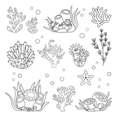 Naklejka premium Marine set, algae and coral in simple linear style. Black and white graphics for books and posters