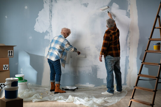 Seniors Together in Painting and Renovation