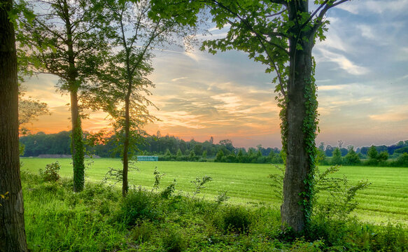 The image captures the serene beauty of the countryside at sunset. The sun dips below the horizon, casting a warm glow over a freshly sprouted field. Framed by tall trees and accentuated by the golden