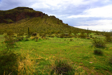 Sonora Desert Arizona Picacho Peak State Park - 783102767