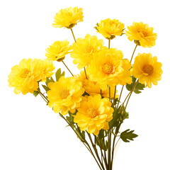 Bunch of yellow flowers isolated on transparent background