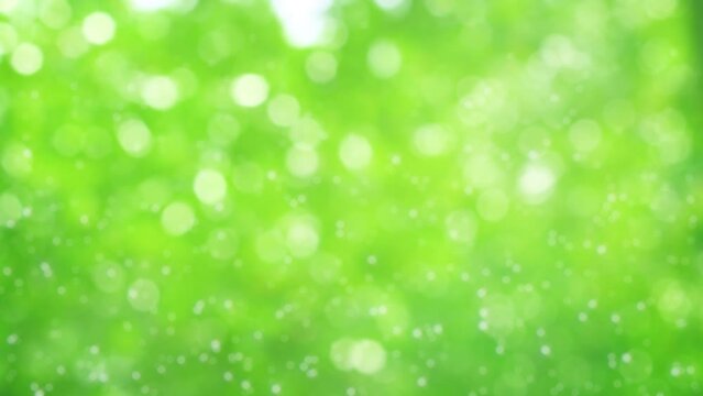 Motion graphics of green nature particles bokeh float up abstract background. 4K 3D rendering seamless loop animation. 
