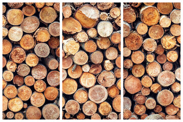A triptych of cut wood. Cross sections of pine logs for fire wood or manufacturing. Suitable for...