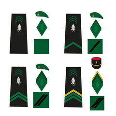 Ensemble de galon de l'armée de terre française, légion étrangère: militaire du rang, légionnaire, 1ère classe, caporal, caporal-chef