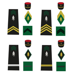 Ensemble de galon de l'armée de terre française, légion étrangère: sous-officier, sergent, sergent-chef, adjudant, adjudant-chef