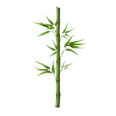 Obraz premium Green Bamboo Stalk with Fresh Leaves Isolated, Representing Growth and Natural Beauty Concepts.