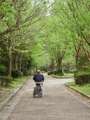 春の公園で三輪車を乗る一人のシニア男性の姿