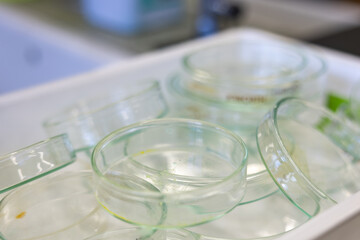 Fototapeta na wymiar 学校の理科室教育現場実験室の使い終わって乾燥している伏せたシャーレ皿