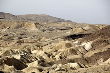 The Negev is a desert in the Middle East, located in Israel and occupying about 60% of its territory. - obrazy, fototapety, plakaty
