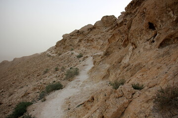 The Negev is a desert in the Middle East, located in Israel and occupying about 60% of its territory.